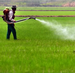 Agricluture Agricluture